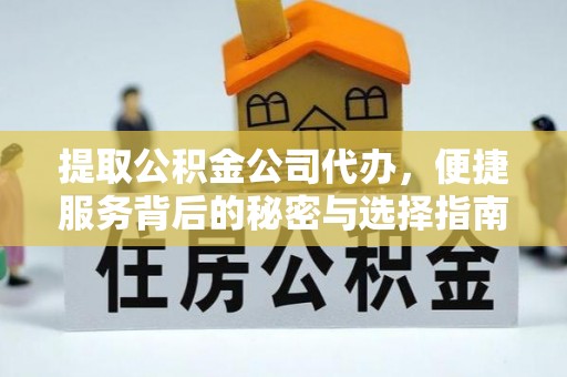 五指山提取公积金公司代办，便捷服务背后的秘密与选择指南