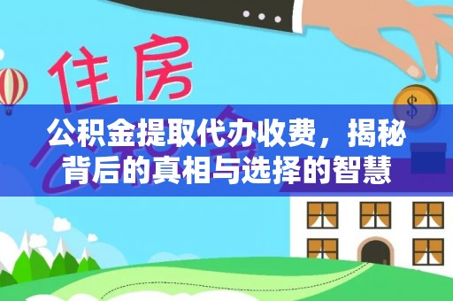 五指山公积金提取代办收费，揭秘背后的真相与选择的智慧