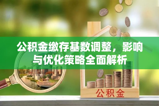 五指山公积金缴存基数调整，影响与优化策略全面解析