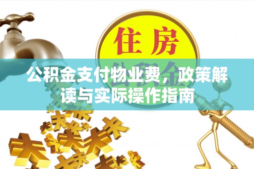 五指山公积金支付物业费，政策解读与实际操作指南