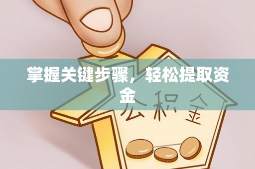 五指山掌握关键步骤，轻松提取资金