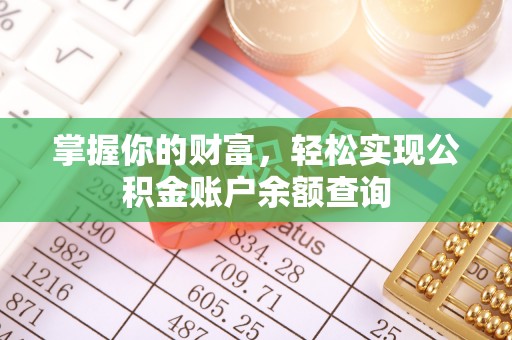 五指山掌握你的财富，轻松实现公积金账户余额查询