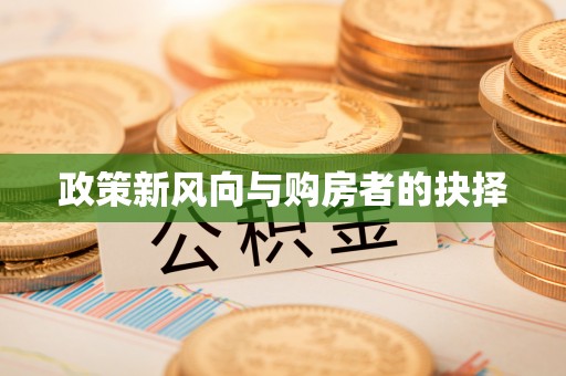 五指山政策新风向与购房者的抉择
