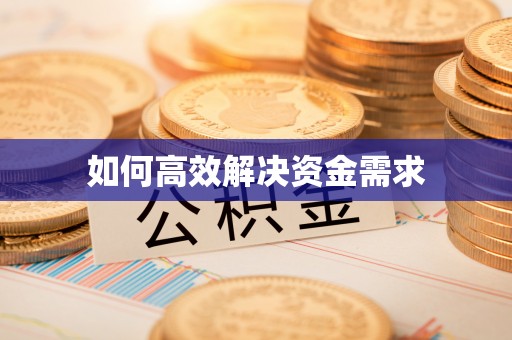 五指山如何高效解决资金需求