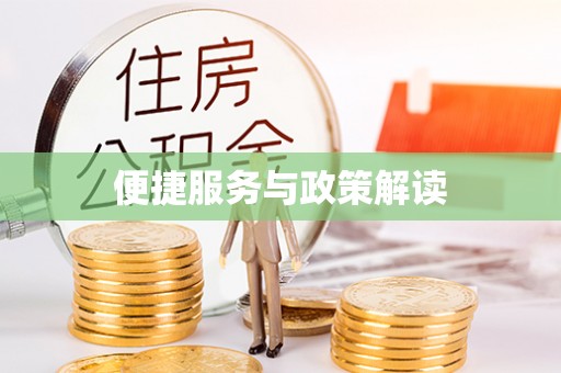 五指山便捷服务与政策解读