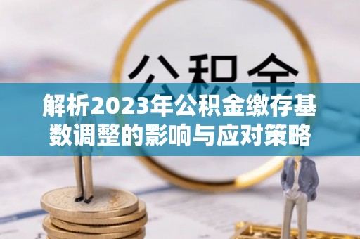 五指山解析2023年公积金缴存基数调整的影响与应对策略