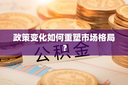 五指山政策变化如何重塑市场格局？