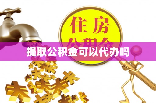 五指山提取公积金可以代办吗