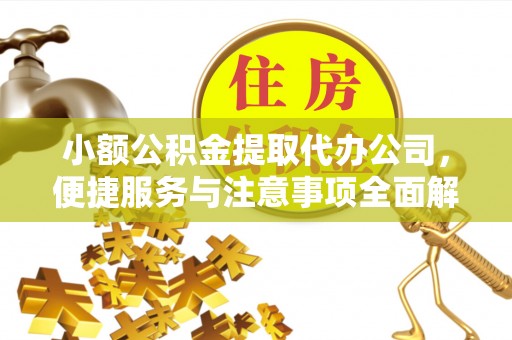 五指山小额公积金提取代办公司，便捷服务与注意事项全面解析