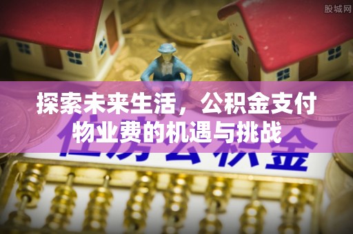 五指山探索未来生活，公积金支付物业费的机遇与挑战