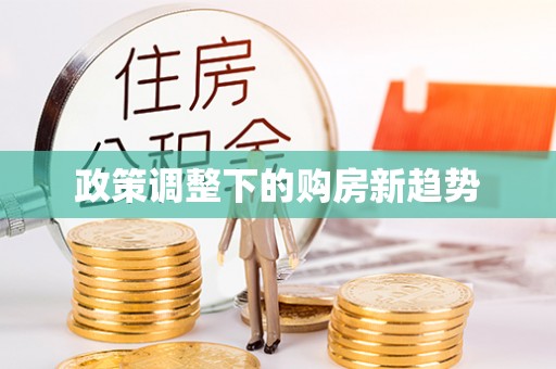 五指山政策调整下的购房新趋势