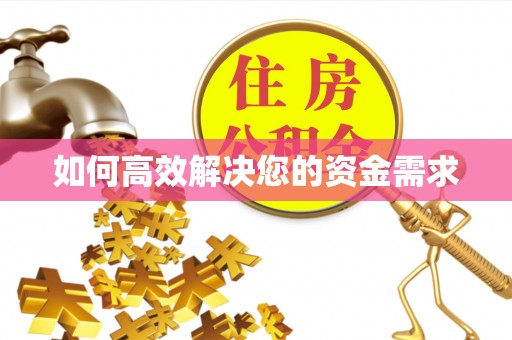 五指山如何高效解决您的资金需求