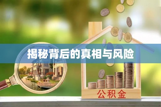 五指山揭秘背后的真相与风险