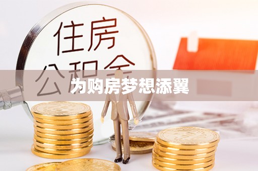 五指山为购房梦想添翼
