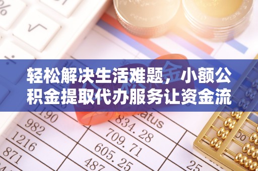 五指山轻松解决生活难题，小额公积金提取代办服务让资金流动更便捷