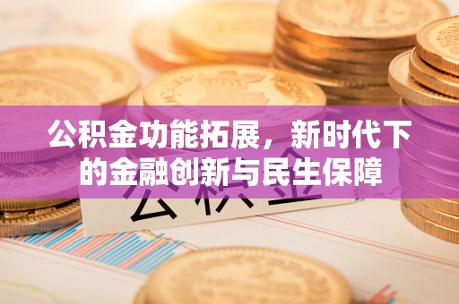 五指山公积金功能拓展，新时代下的金融创新与民生保障