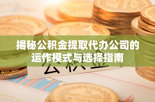 五指山揭秘公积金提取代办公司的运作模式与选择指南
