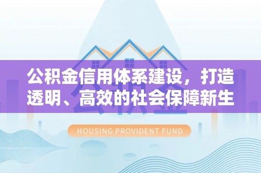 五指山公积金信用体系建设，打造透明、高效的社会保障新生态