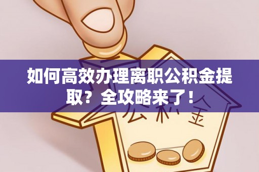 五指山如何高效办理离职公积金提取？全攻略来了！