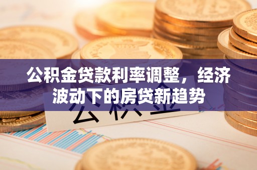 五指山公积金贷款利率调整，经济波动下的房贷新趋势