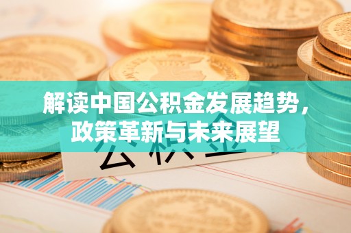 五指山解读中国公积金发展趋势，政策革新与未来展望