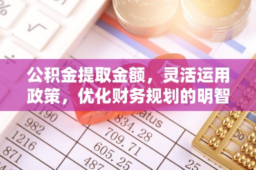 五指山公积金提取金额，灵活运用政策，优化财务规划的明智选择