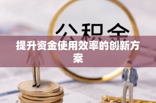五指山提升资金使用效率的创新方案