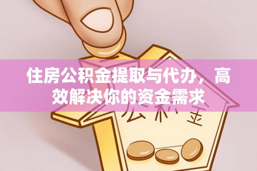 五指山住房公积金提取与代办，高效解决你的资金需求