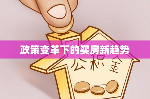 五指山政策变革下的买房新趋势