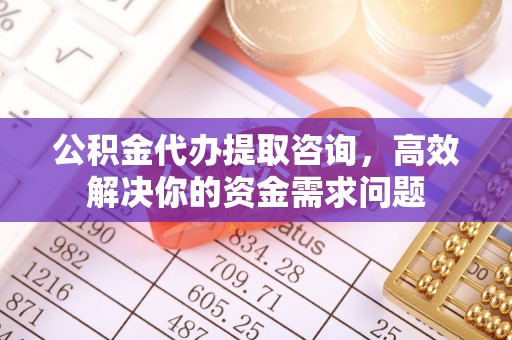 五指山公积金代办提取咨询，高效解决你的资金需求问题