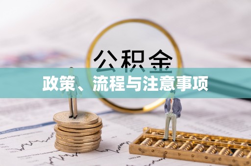 五指山政策、流程与注意事项