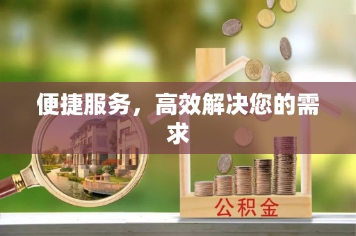 五指山便捷服务，高效解决您的需求