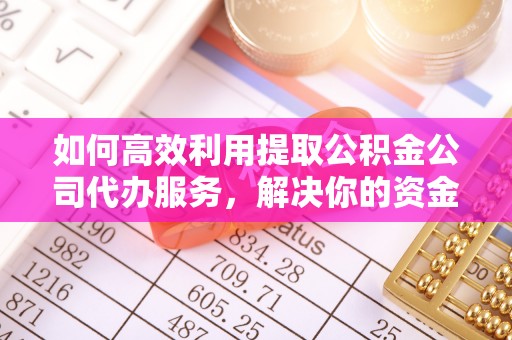 五指山如何高效利用提取公积金公司代办服务，解决你的资金难题