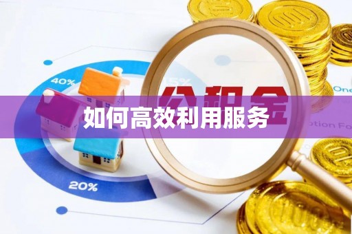 五指山如何高效利用服务