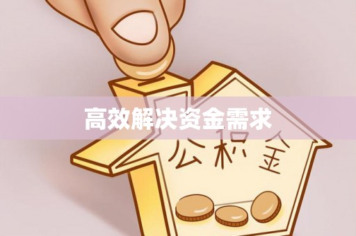 五指山高效解决资金需求