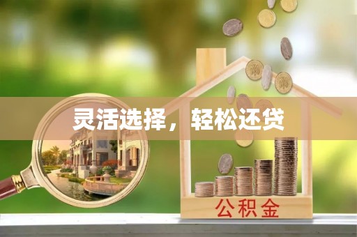 五指山灵活选择，轻松还贷