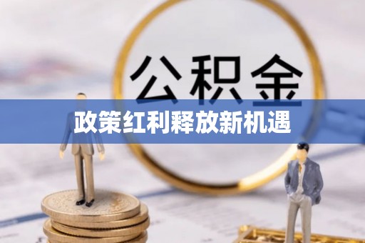 五指山政策红利释放新机遇