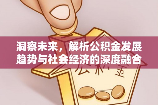 五指山洞察未来，解析公积金发展趋势与社会经济的深度融合