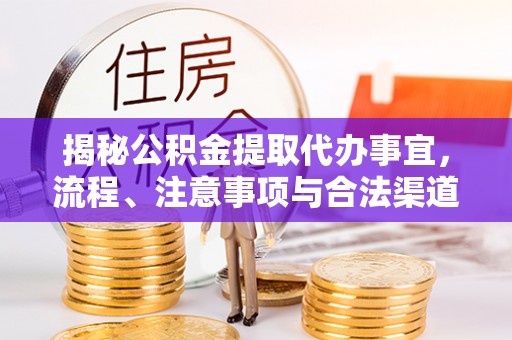 五指山揭秘公积金提取代办事宜，流程、注意事项与合法渠道
