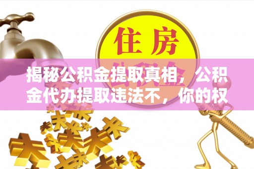 五指山揭秘公积金提取真相，公积金代办提取违法不，你的权益如何保障？