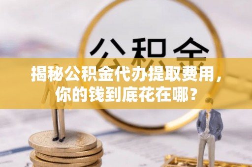 五指山揭秘公积金代办提取费用，你的钱到底花在哪？