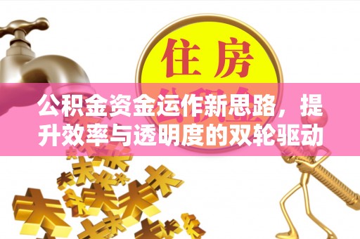 五指山公积金资金运作新思路，提升效率与透明度的双轮驱动