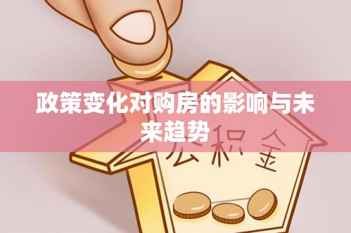 五指山政策变化对购房的影响与未来趋势