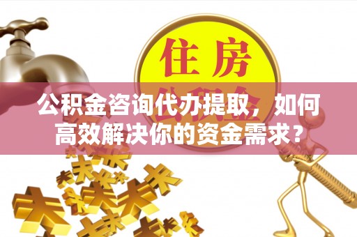 五指山公积金咨询代办提取，如何高效解决你的资金需求？