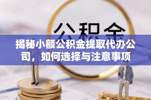 五指山揭秘小额公积金提取代办公司，如何选择与注意事项