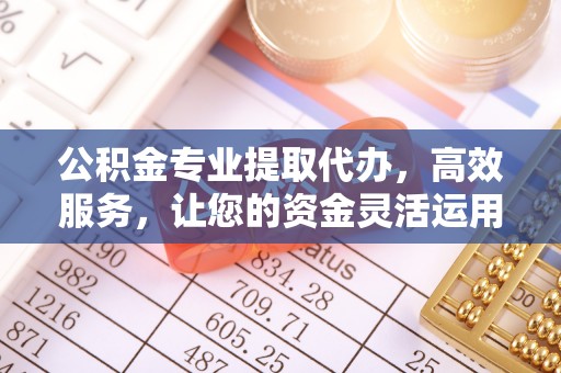 五指山公积金专业提取代办，高效服务，让您的资金灵活运用