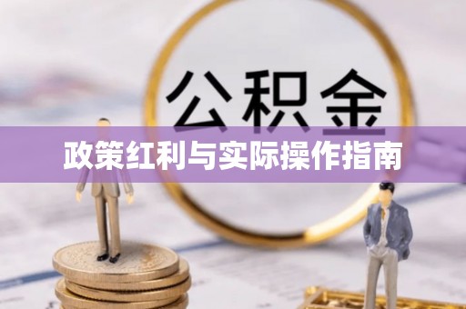 五指山政策红利与实际操作指南