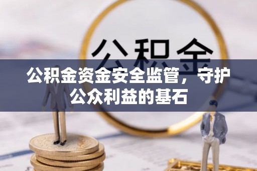 五指山公积金资金安全监管，守护公众利益的基石