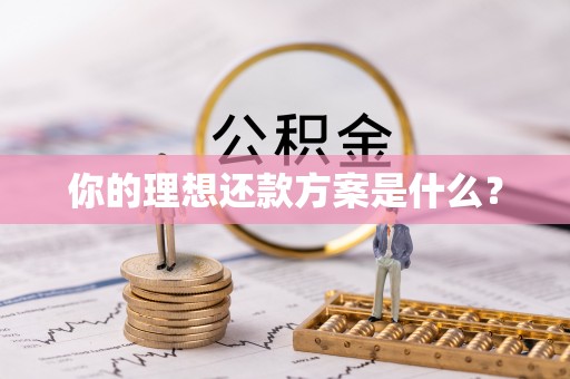 五指山你的理想还款方案是什么？