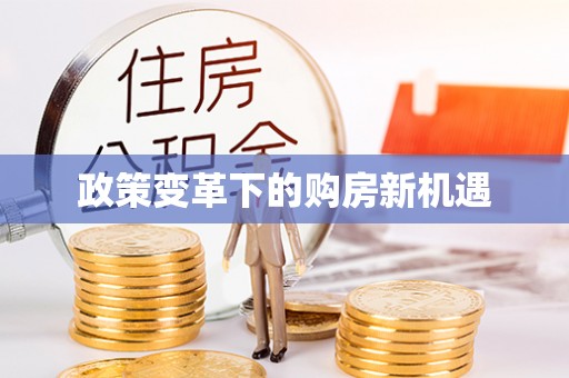 五指山政策变革下的购房新机遇